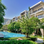green trees near swimming pool during daytime